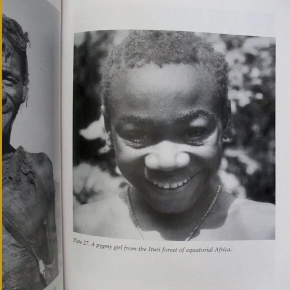 Book - Guns, Germs, and Steel: The Fates of Human Societies by Jared Diamond - Picture 5 of 10